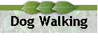 Dog Walking